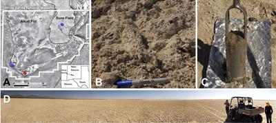 Subsurface Microbial Ecology at Sediment-Groundwater Interface in Sulfate-Rich Playa; White Sands National Monument, New Mexico